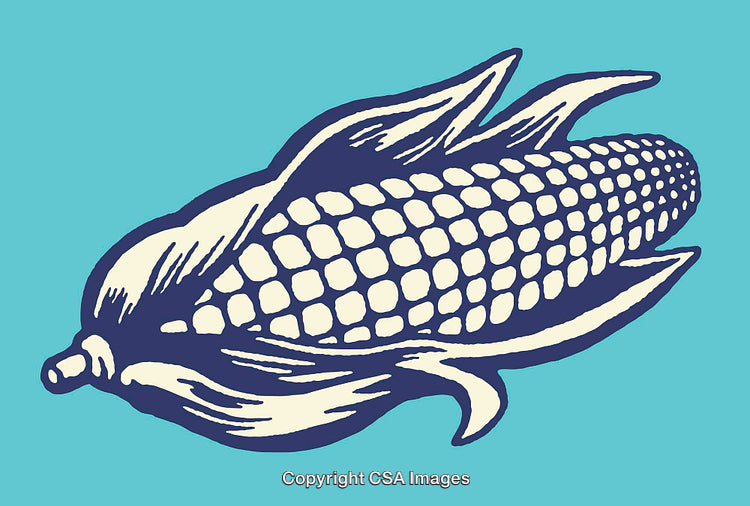 Vintage Illustration of Corn on Blue Background in Line Art Style