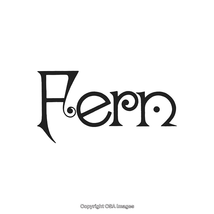 Artistic Fern Word Design with Playful Typography in Black and White