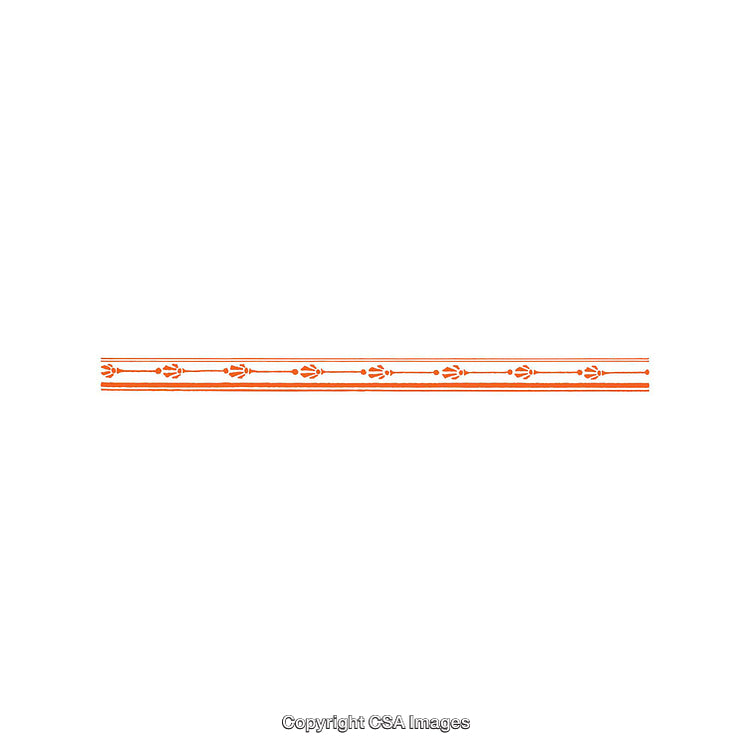 Minimalist Decorative Border With Orange Floral and Line Patterns on White