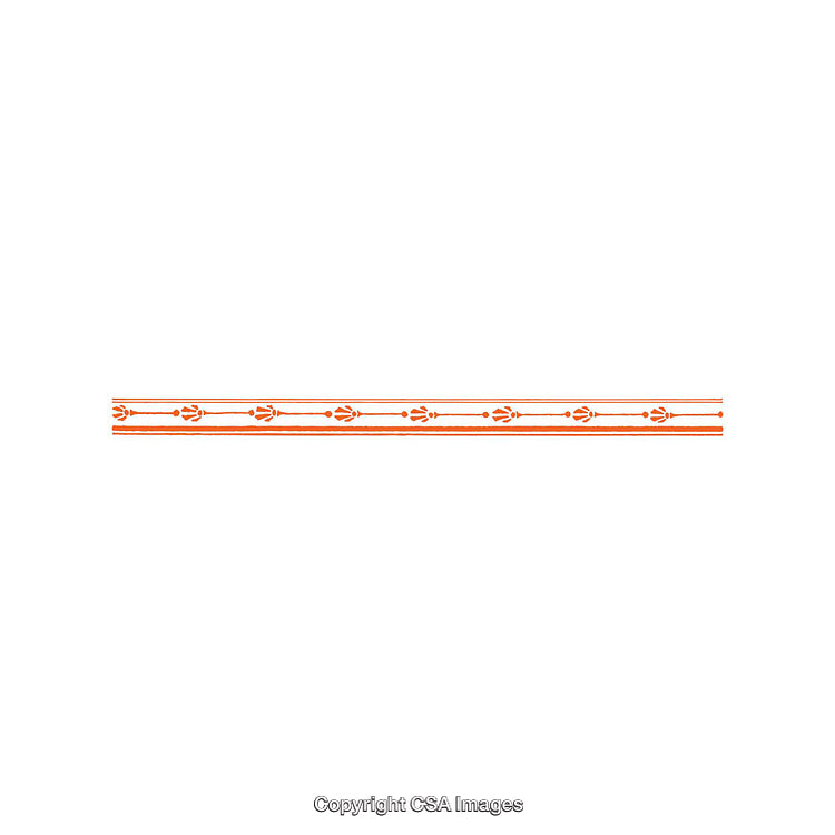 Minimalist Decorative Border With Orange Floral and Line Patterns on White