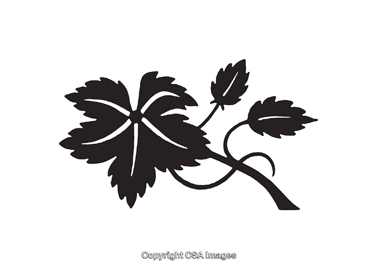 Silhouette of a Leafy Branch in Minimalist Style