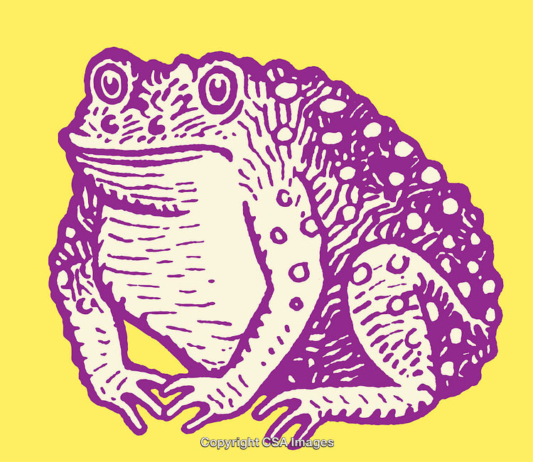 Purple Frog Illustration with Yellow Background in Artistic Line Art Style