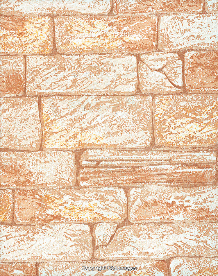 Bricks