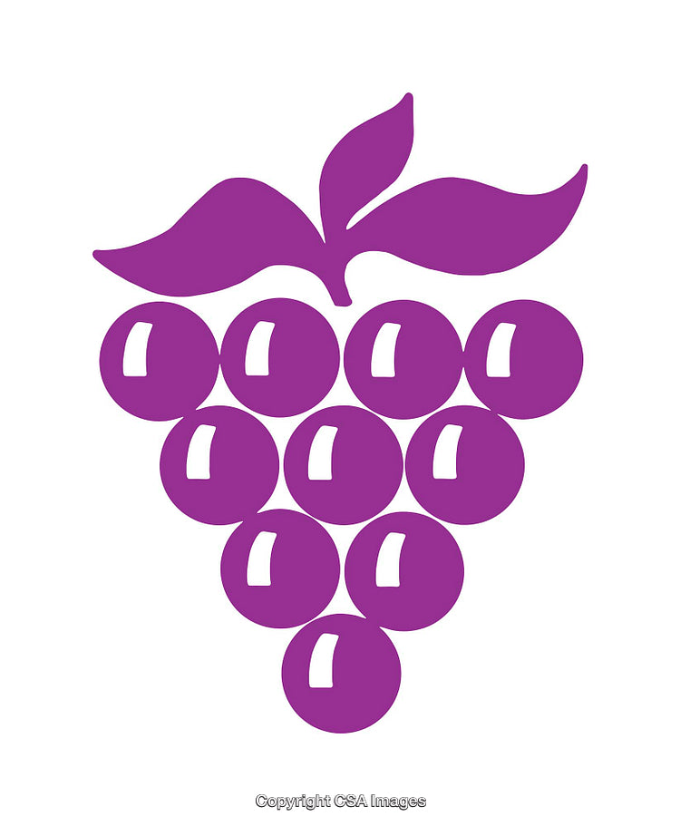 Purple Grape Icon with Leaves in Minimalistic Design Style