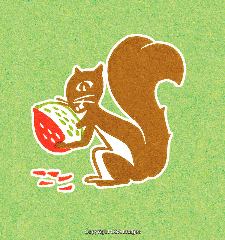 Cartoon Squirrel Eating Fruit Against Bright Green Textured Background