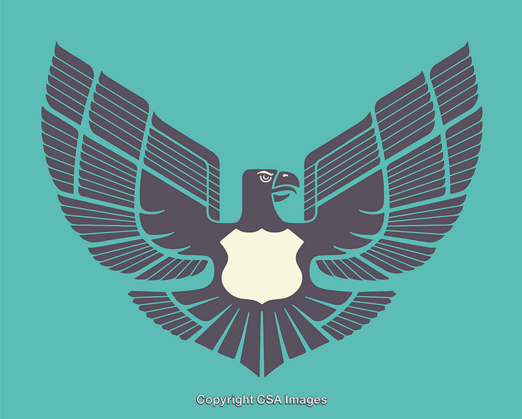 Stylized Eagle Illustration with Geometric Feather Designs on Turquoise Background