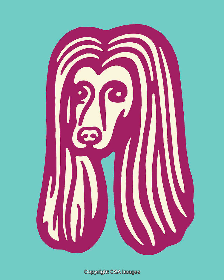 Stylized Line Art of a Dog Illustration on a Vibrant Background
