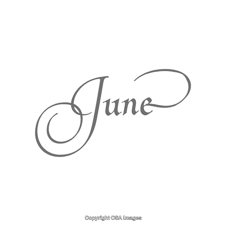 Elegant Script Typography of the Word 'June' in Grayscale