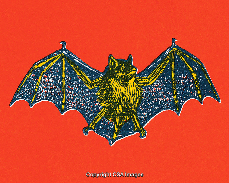 Vintage Illustration of a Bat on a Bold Red Background