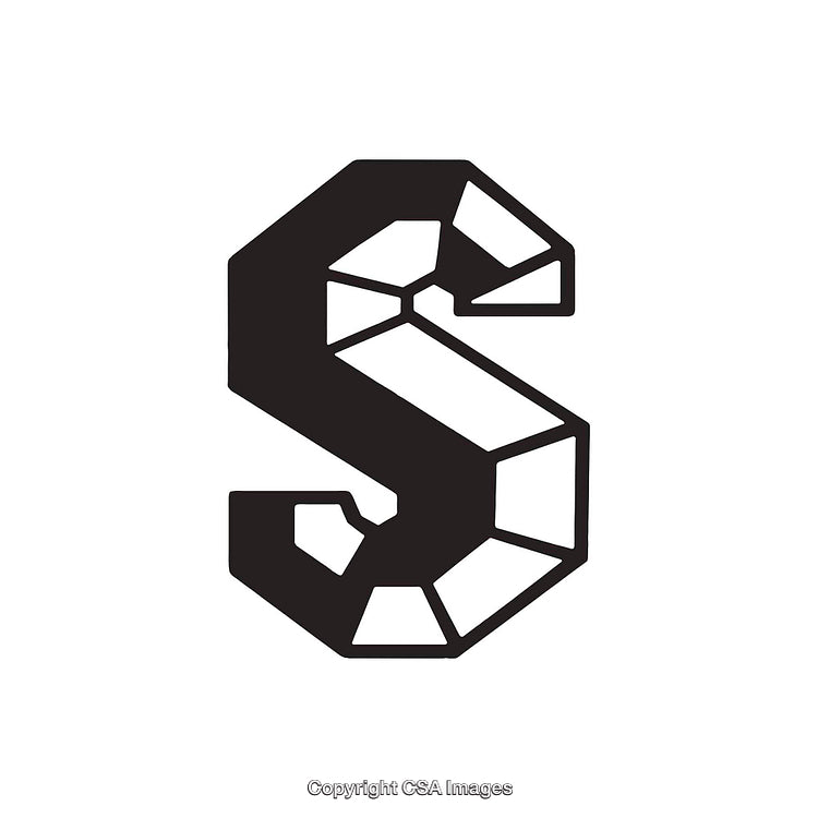 Geometric Artistic Letter S in Bold Black Stylish Design