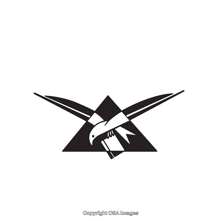 Eagle Silhouette Design with Black and White Line Art Geometry
