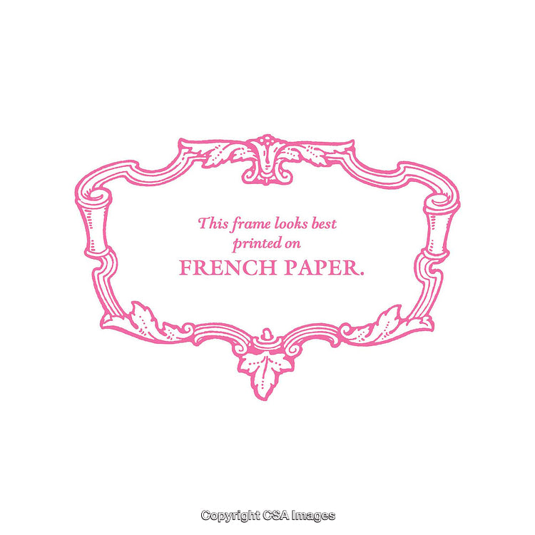 Elegant Pink Ornamental Frame Emphasizing French Paper Customization