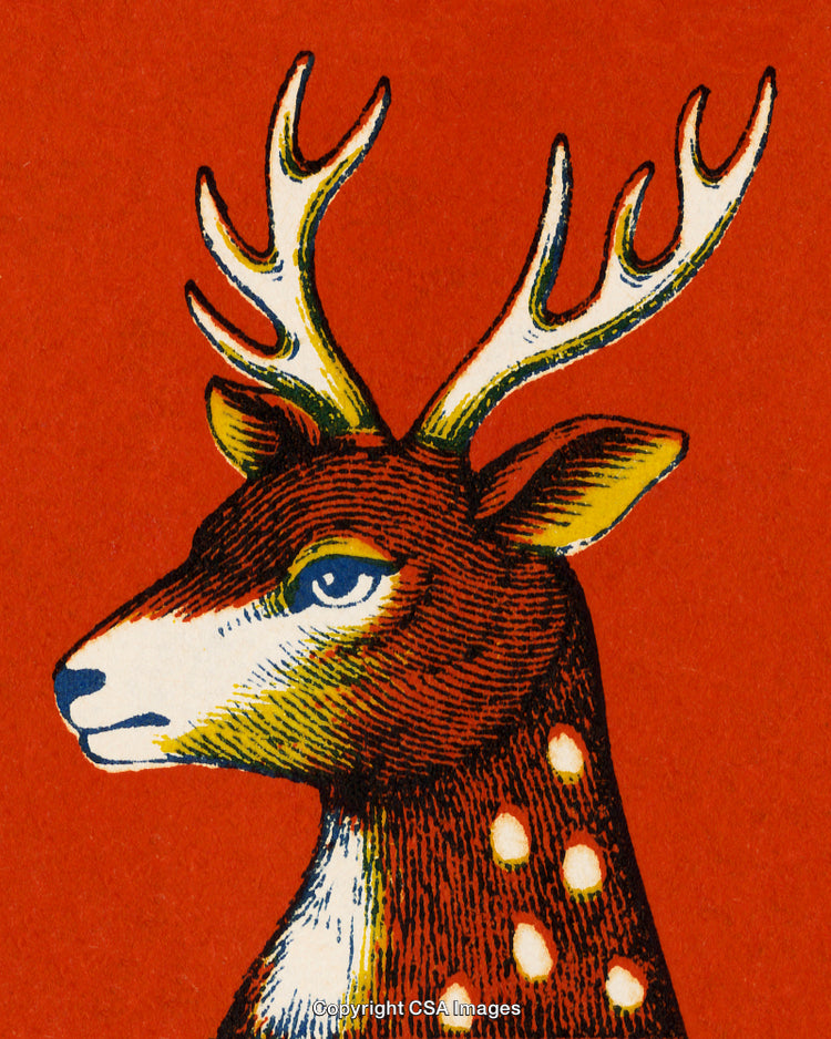 Illustrated Deer Head with Antlers and Spotted Neck on Red Background