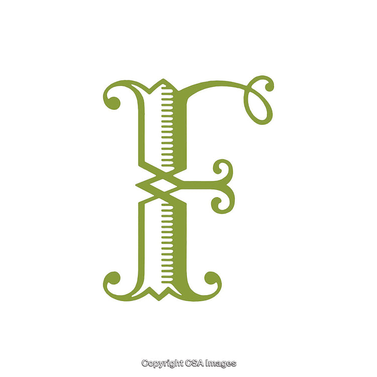 Elegant Green Letter E in an Ornate Design