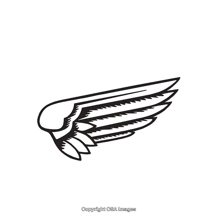 Black And White Line Art Illustration of Stylized Feathered Wing Design