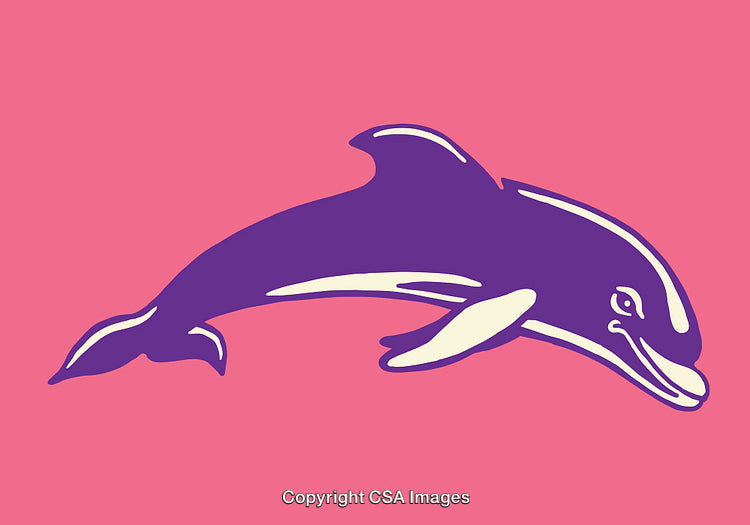 Vibrant Line Art Dolphin Illustration on a Pink Background