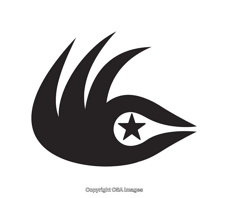 Abstract Black and White Icon with a Star in Eye Design
