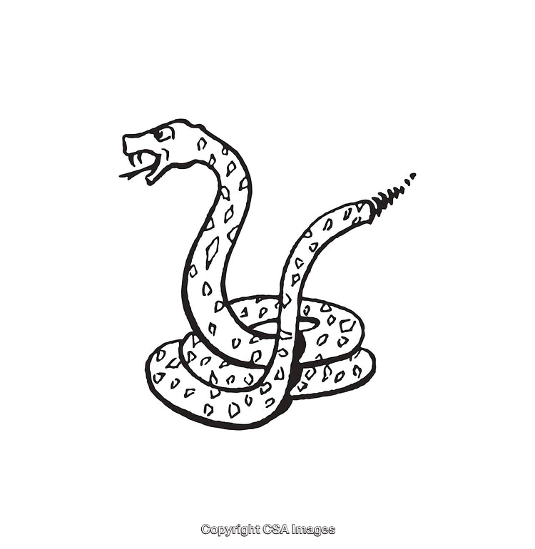 Black and White Line Art Illustration of a Coiled Rattlesnake