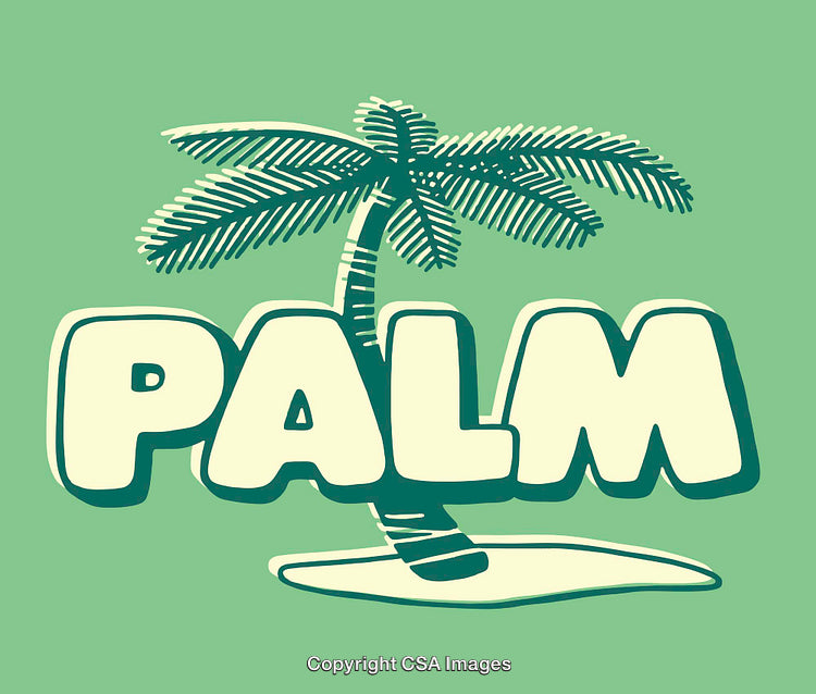 Palm Tree Illustration with Bold Typography on Soft Green Background