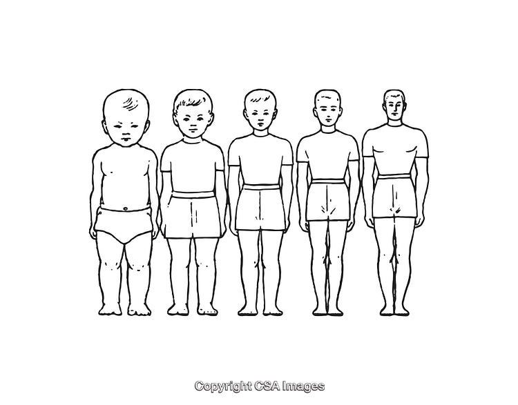 Black and White Line Illustrations Depicting Human Growth Stages