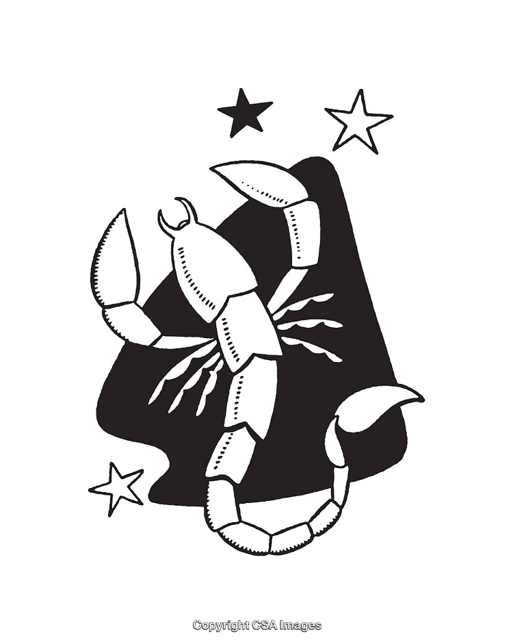 Black and White Line Art Illustration of a Scorpion and Stars