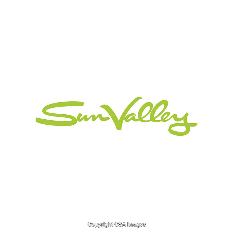 Green Calligraphic Logo Design of Sun Valley on a White Background