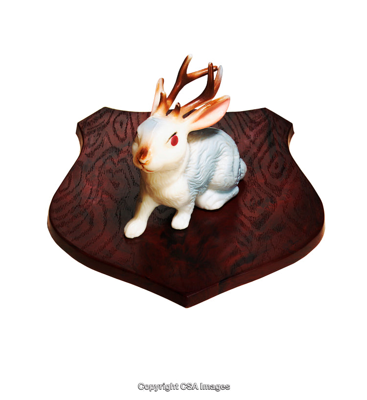 Mounted Jackalope Figure on Wooden Plaque Isolated on White Background