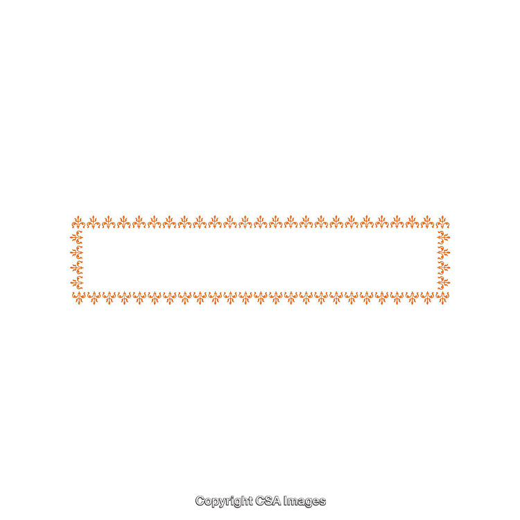 Rectangular Frame with Stylish Decorative Border in Orange Design