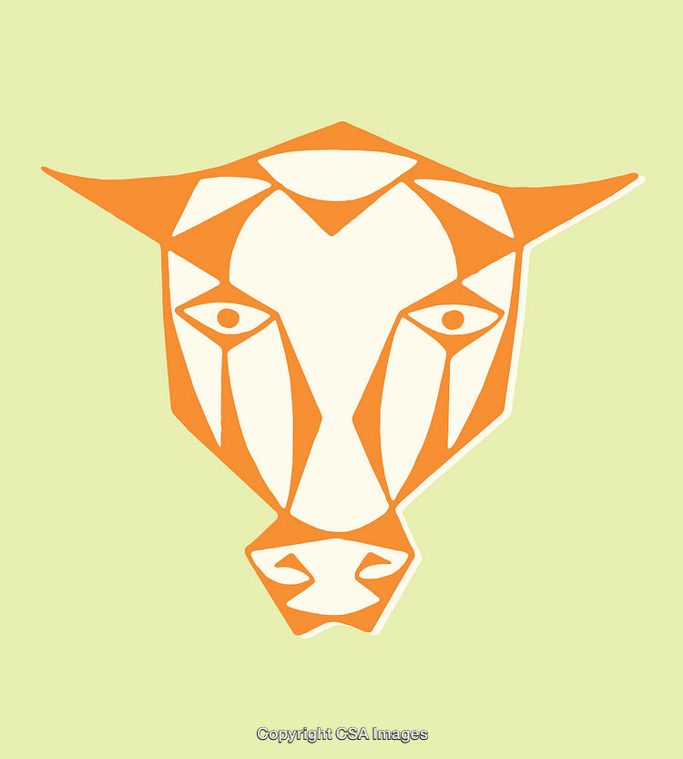 Geometric Orange Bull Illustration on a Green Background
