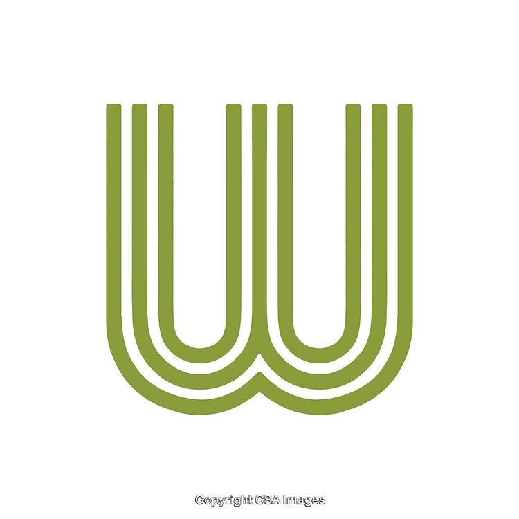 Creative Line Design of the Letter W in a Stylish Green Style