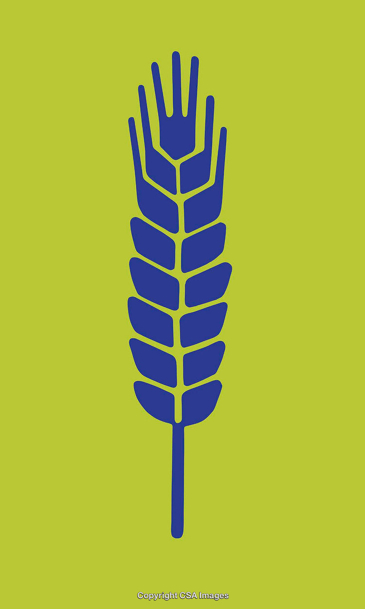 Blue Stylized Wheat Icon on Bright Green Background