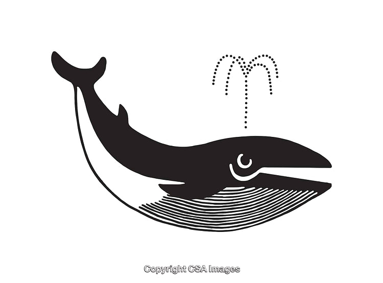 Black and White Line Art Illustration of a Whale Spouting Water