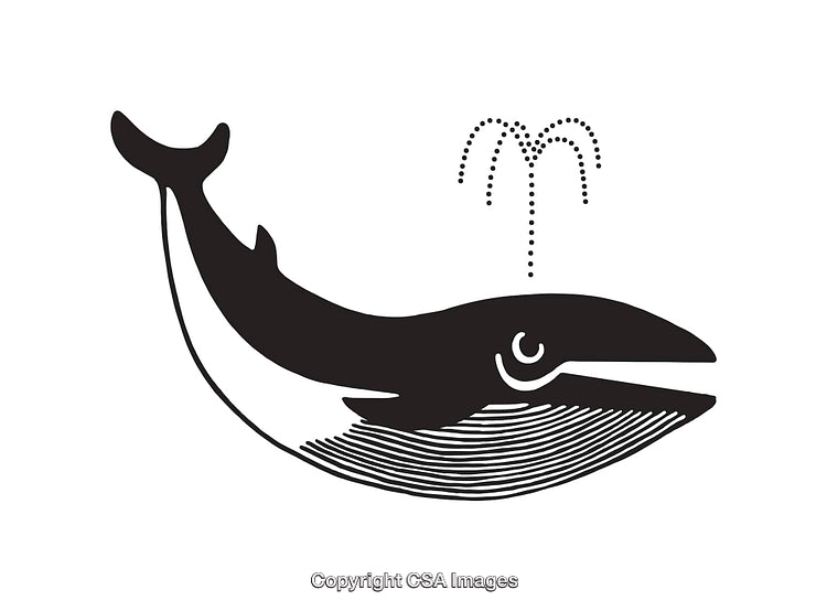 Black and White Line Art Illustration of a Whale Spouting Water