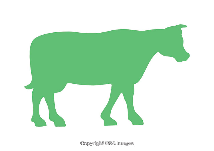Green Silhouette of Cow Isolated on White Background
