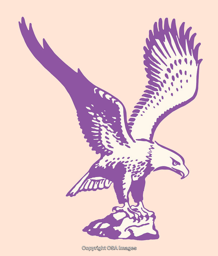 Elegant Purple Eagle Illustration Depicting Strength and Freedom in Line Art Style