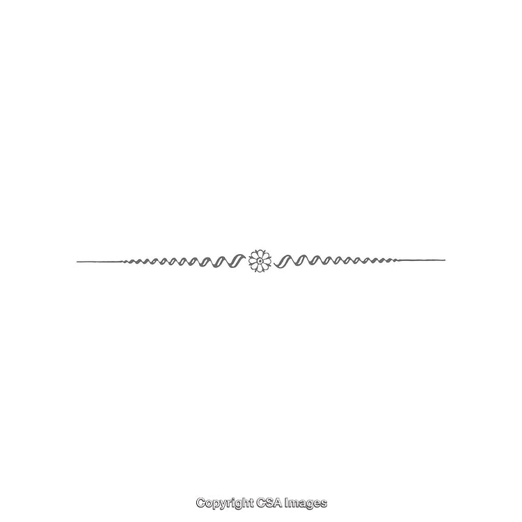 Simple Floral Divider Design with Decorative Swirling Lines on White Background