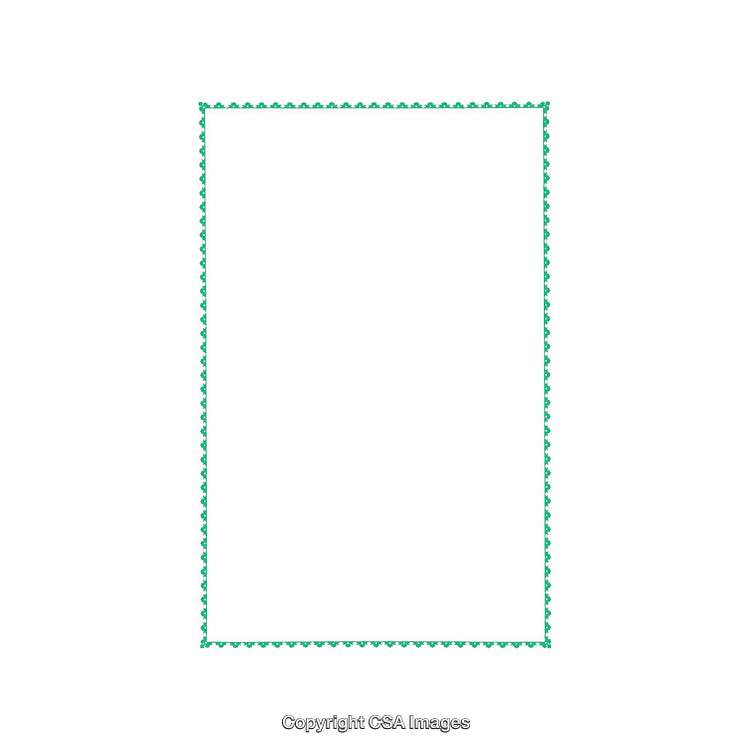 Rectangular Green Border With Decorative Pattern on White Background