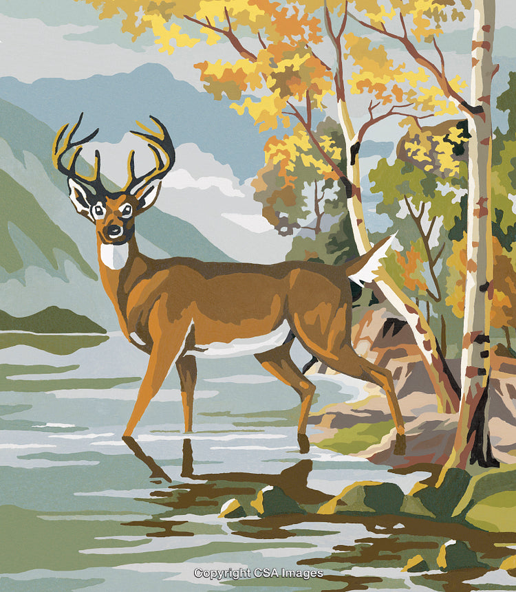 Majestic Deer Standing by a Stream in Autumn Forest Scenery