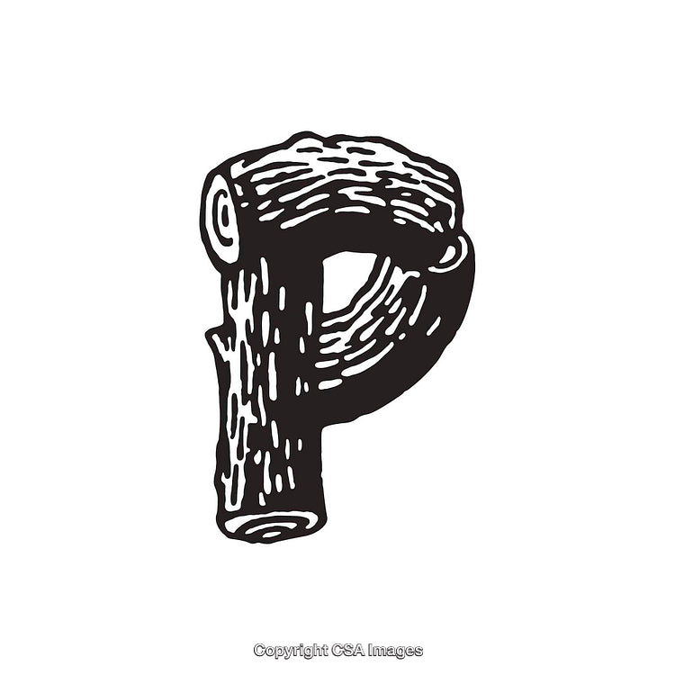 Wood-Textured Letter P Illustration in a Rustic Style Design