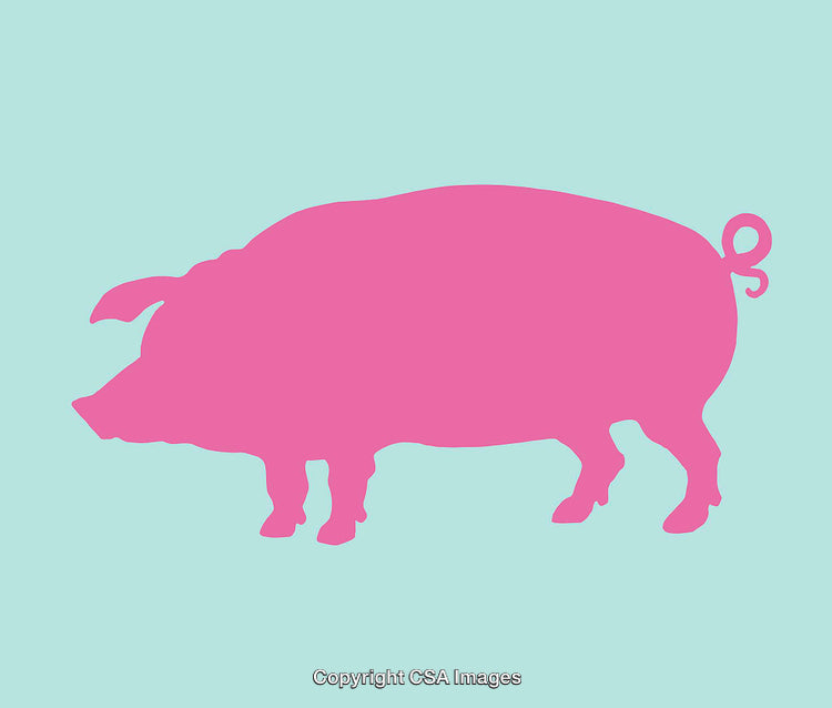 Pink Silhouette of a Pig on a Pastel Background