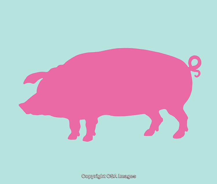 Pink Silhouette of a Pig on a Pastel Background