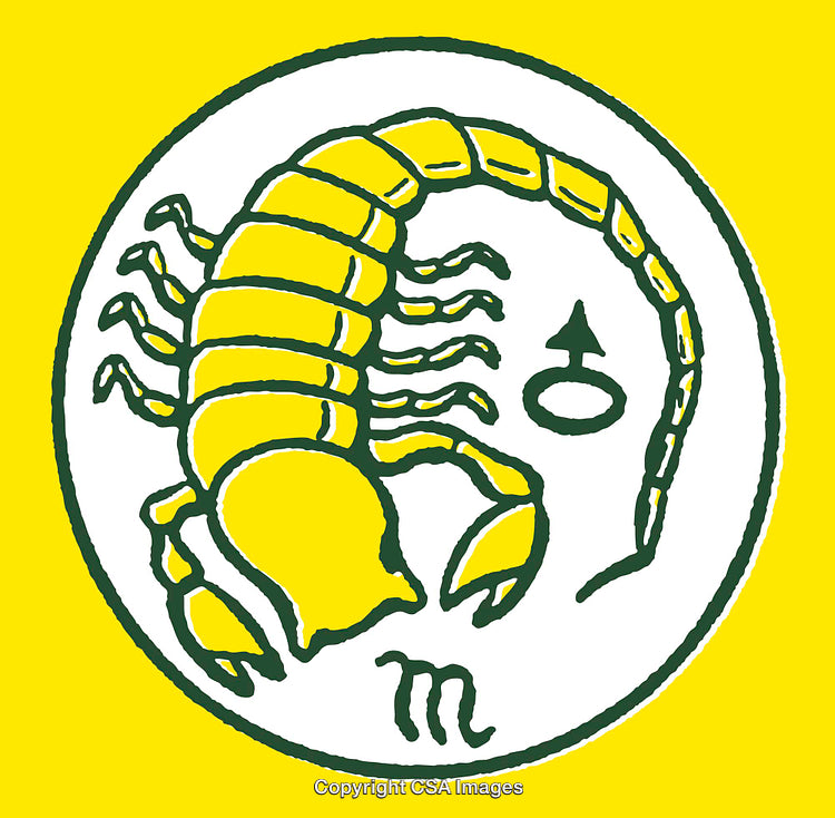 Bright Yellow and Green Line Art of Scorpion with Symbolic Details