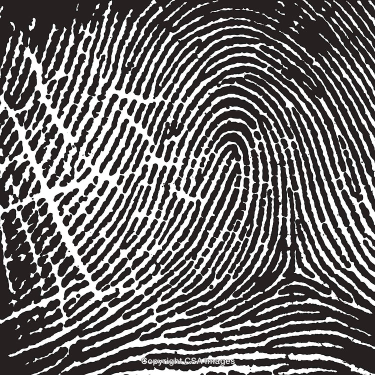 Black and White Detailed Fingerprint Pattern Abstract Background