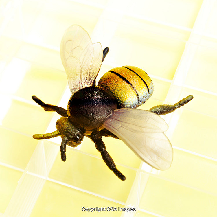 Close-Up of Plastic Bee Toy on Bright Yellow Background