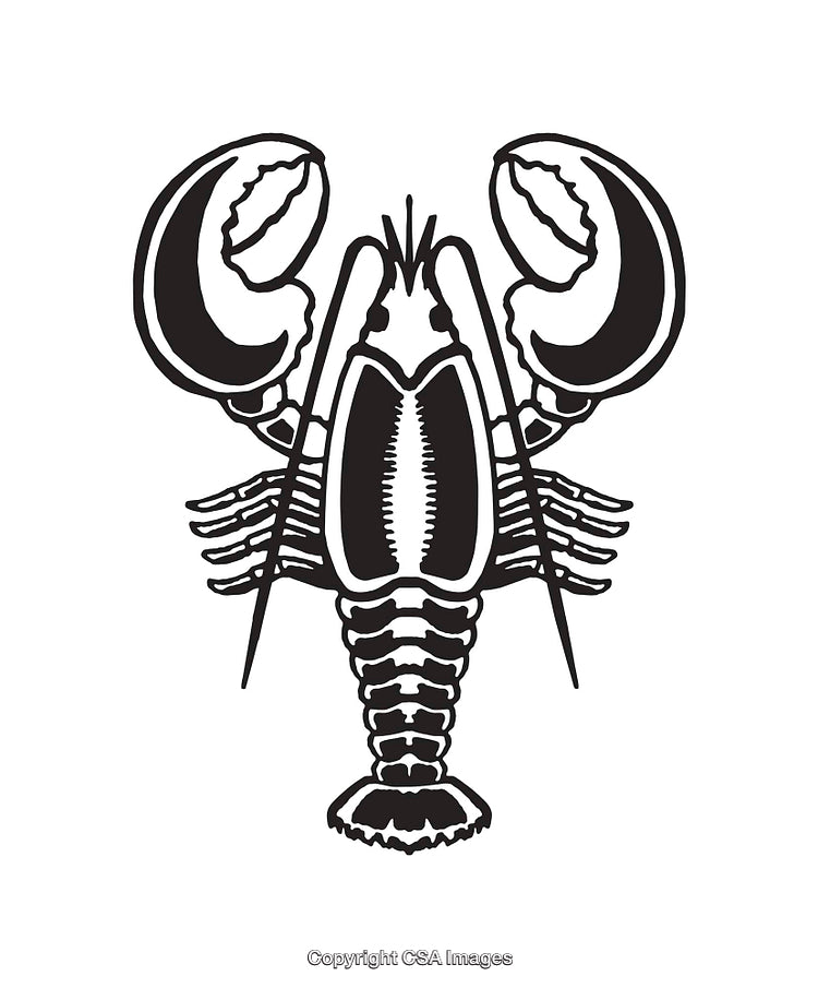 Black and White Lobster Line Art Illustration with Detailed Design