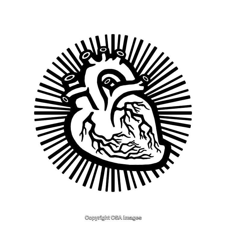 Black and White Anatomical Heart Illustration with Radiating Lines