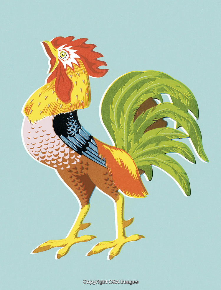 Colorful Illustration of a Vibrant Rooster on a Pale Blue Background