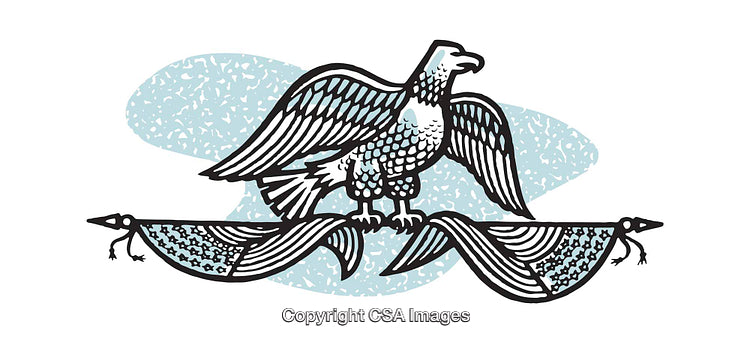 Vector Colored Eagle Illustration in a Graphic Art Style