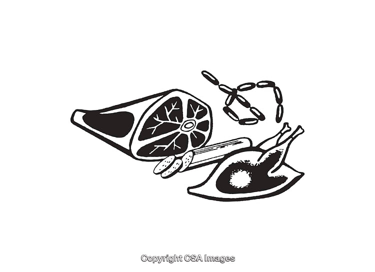 Black and White Line Art of Meat and Sausage Illustration