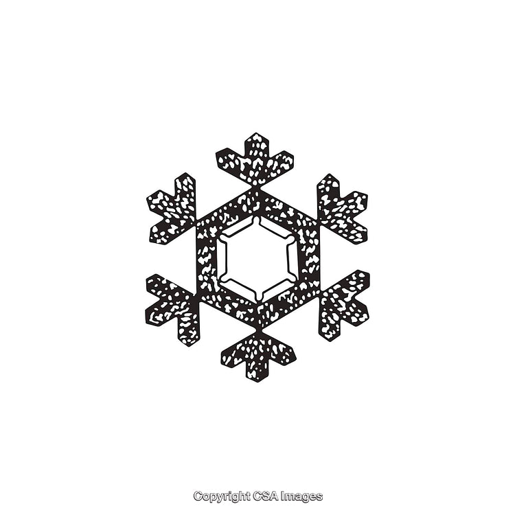 Black and White Snowflake Graphic Illustration with Intricate Detail